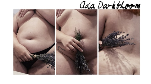 Header of ada_darkbloom