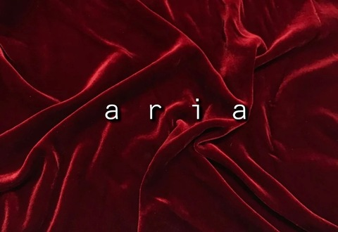 Header of ariaa3377