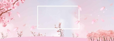 Header of babybonnibelle