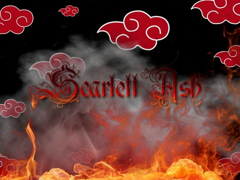 Header of babydollashfree