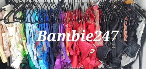 Header of bambie247free