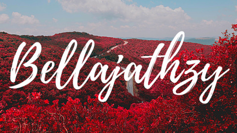 Header of bellajathzy