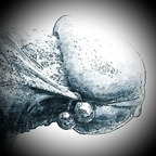 Download blauelagune OnlyFans content free 

 profile picture