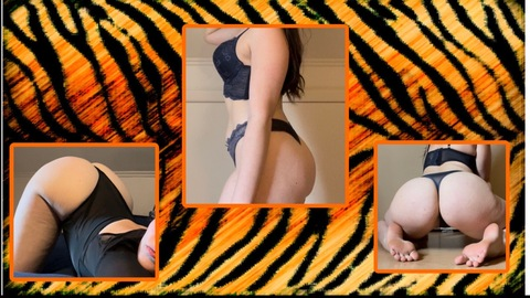 Header of brandipaige