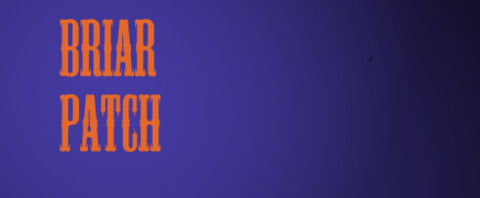 Header of briarxpatch