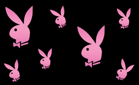 Header of bunnysister