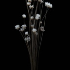 View codiryann1207 (Codi Ryann) OnlyFans 49 Photos and 32 Videos leaked 

 profile picture