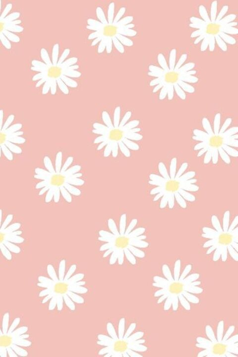 Header of coralcupcakes