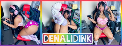 Header of denaliplays