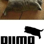 Free access to dikdrawings Leaks OnlyFans 

 profile picture