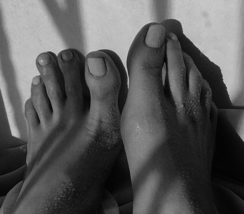 Header of evifeet