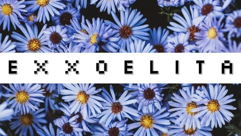 Header of exxoelita