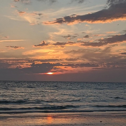 flbrandi onlyfans leaked picture 1