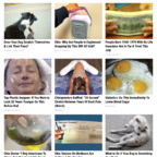 Trending @flowerfriendly leak Onlyfans videos and photos free 

 profile picture