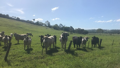 fotze onlyfans leaked picture 1