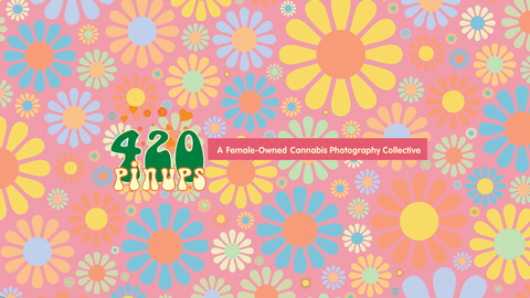 Header of fourtwentypinups