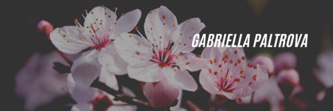 Header of gabipaltrova