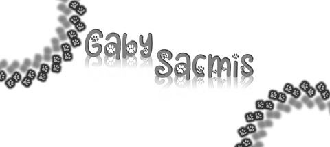 Header of gabysacmis