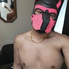 View gummipup (Gummi) OnlyFans 49 Photos and 32 Videos for free 

 profile picture