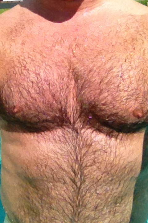 Header of hairydaddytx