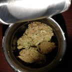 View Stardawg (highlife412) OnlyFans 49 Photos and 32 Videos leaks 

 profile picture