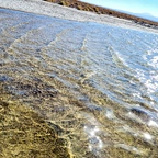 hotchileanwife OnlyFans Leaks (118 Photos and 32 Videos) 

 profile picture