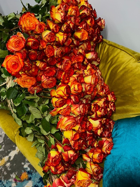 Header of isabellahh