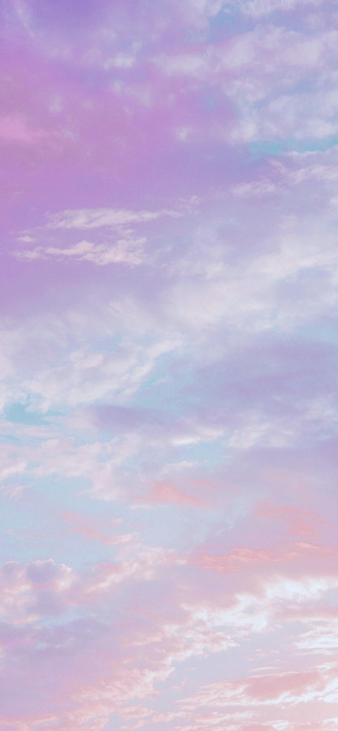 Header of juicii.rae