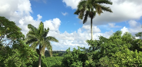 Header of junky_nudes