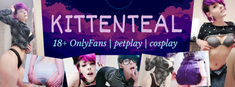 Header of kittenteal