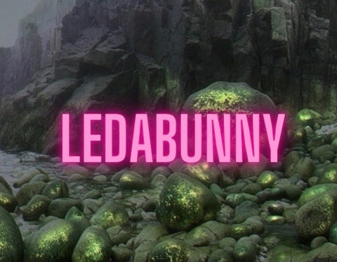 Header of ledabunny