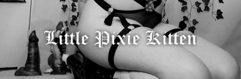 Header of little_pixie_kitten