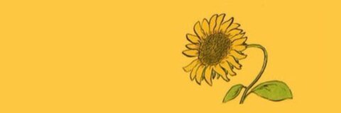 Header of lonelysunflower