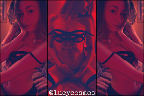 Header of lucycosmosfree