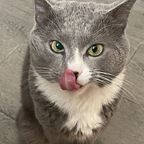 View lushblushbust666 (Iramse) OnlyFans 55 Photos and 32 Videos leaks 

 profile picture