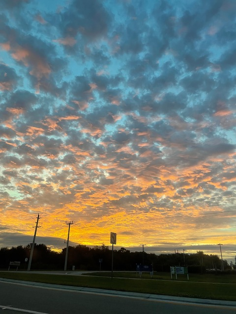 Header of lushblushbust666