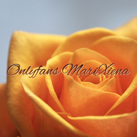 Header of marixiena