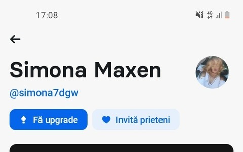 Header of maxensim