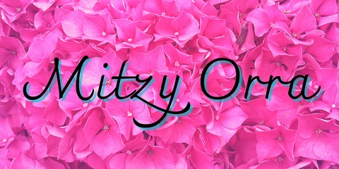 Header of mitzyorra