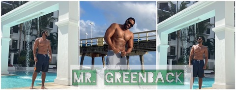 Header of mr_greenback