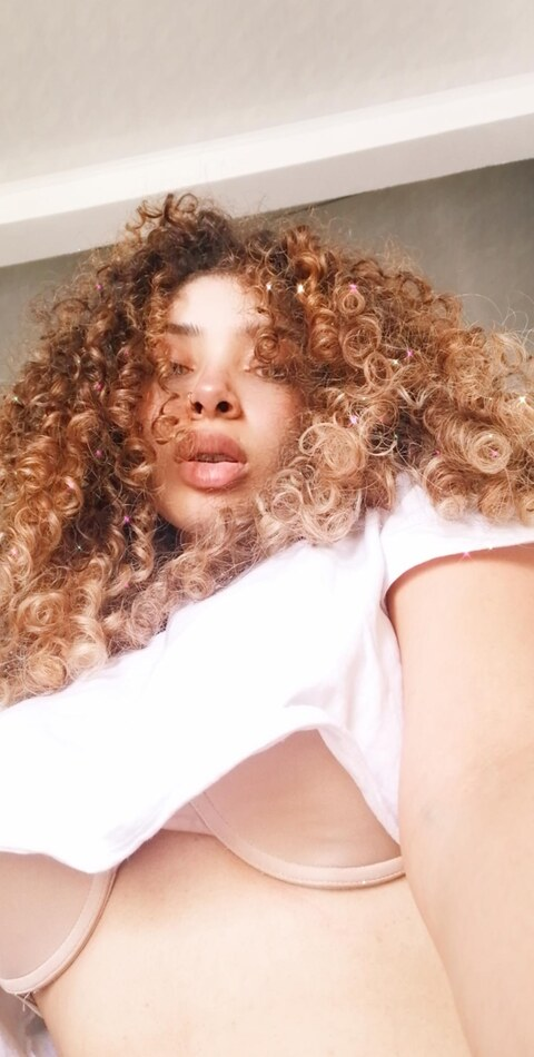 Header of mylittlebunny