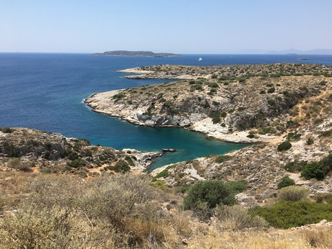 Header of neptune704