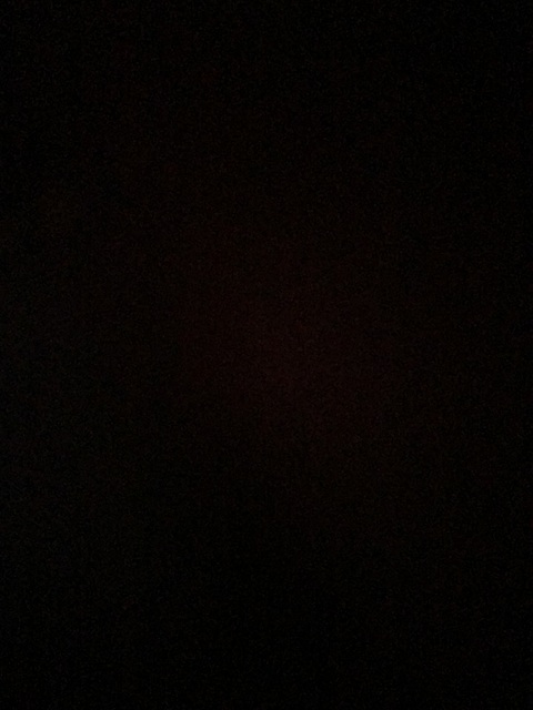 Header of nicolewaples3