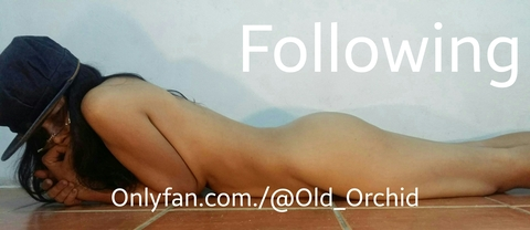 Header of old_orchid