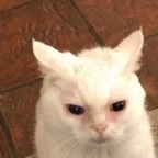 pcpixiee OnlyFans Leaked 

 profile picture