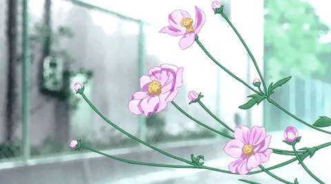 Header of plantpixii