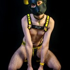 pupvoltzy onlyfans leaked picture 1