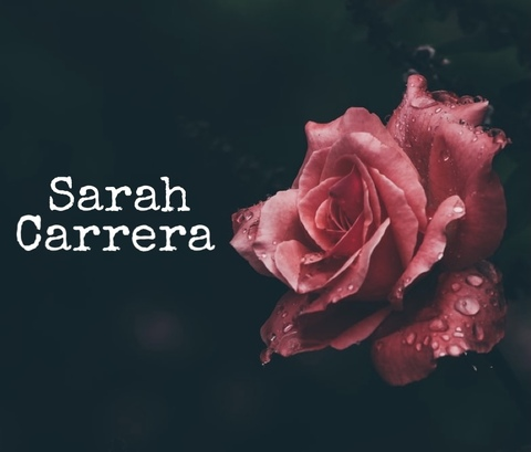 Header of sarahcarrera