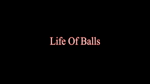 Header of secretlifeofballs