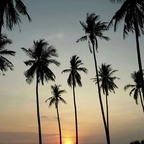 sextraveller OnlyFans Leaked 

 profile picture